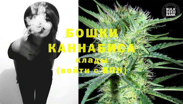 прущая мука Нея
