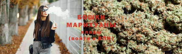 прущая мука Нея
