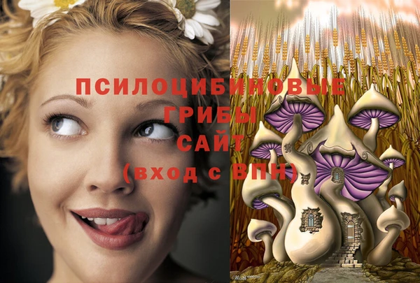 2c-b Нефтегорск