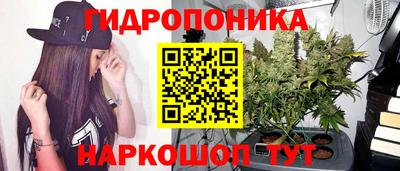 каннабис Сланцы