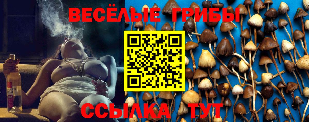 Стерлитамак  Псилоцибиновые грибы ЛСД  Вход с VPN 